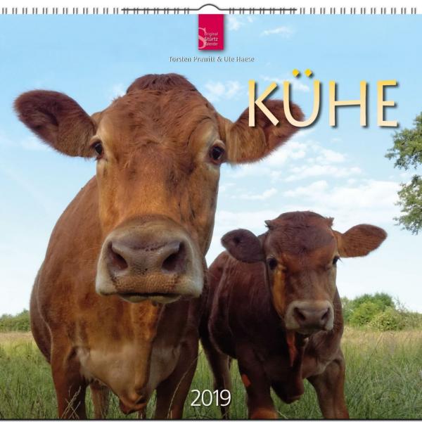 Kühe 2019